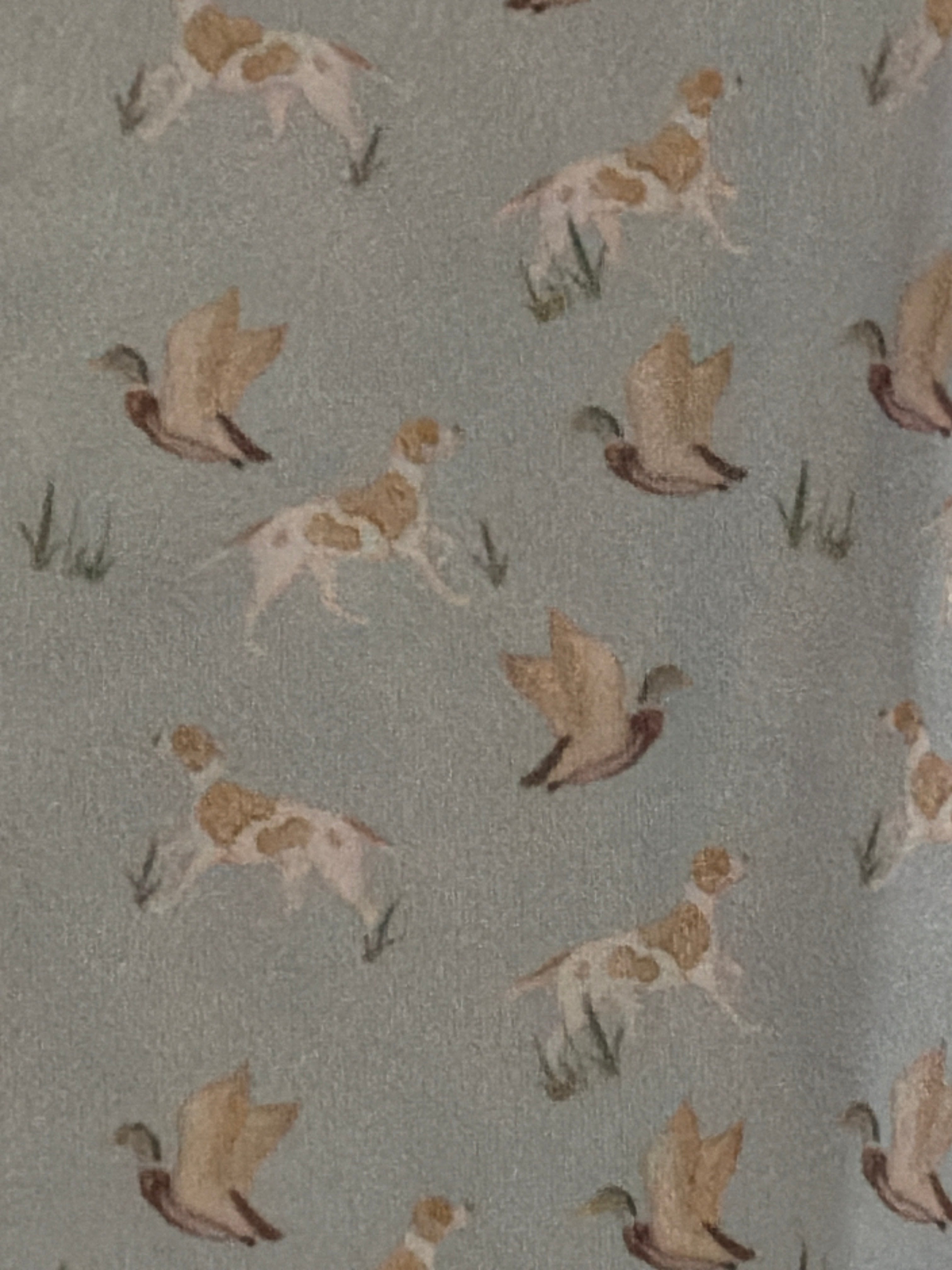 Mallard Hunter Boy Collar Shirt